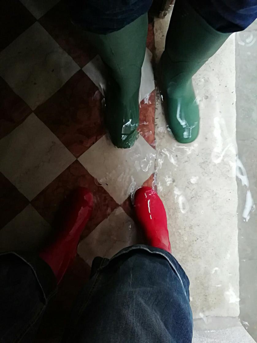 aviary-image-1574204963067.jpeg