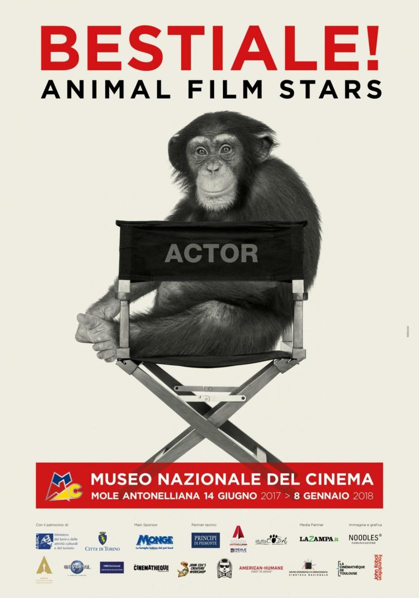 bestiale_monkey_web.jpg