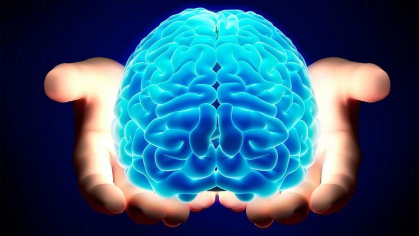 brain-hands.jpg