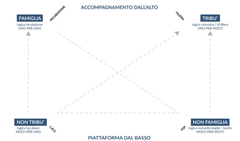 caliri_3.jpg