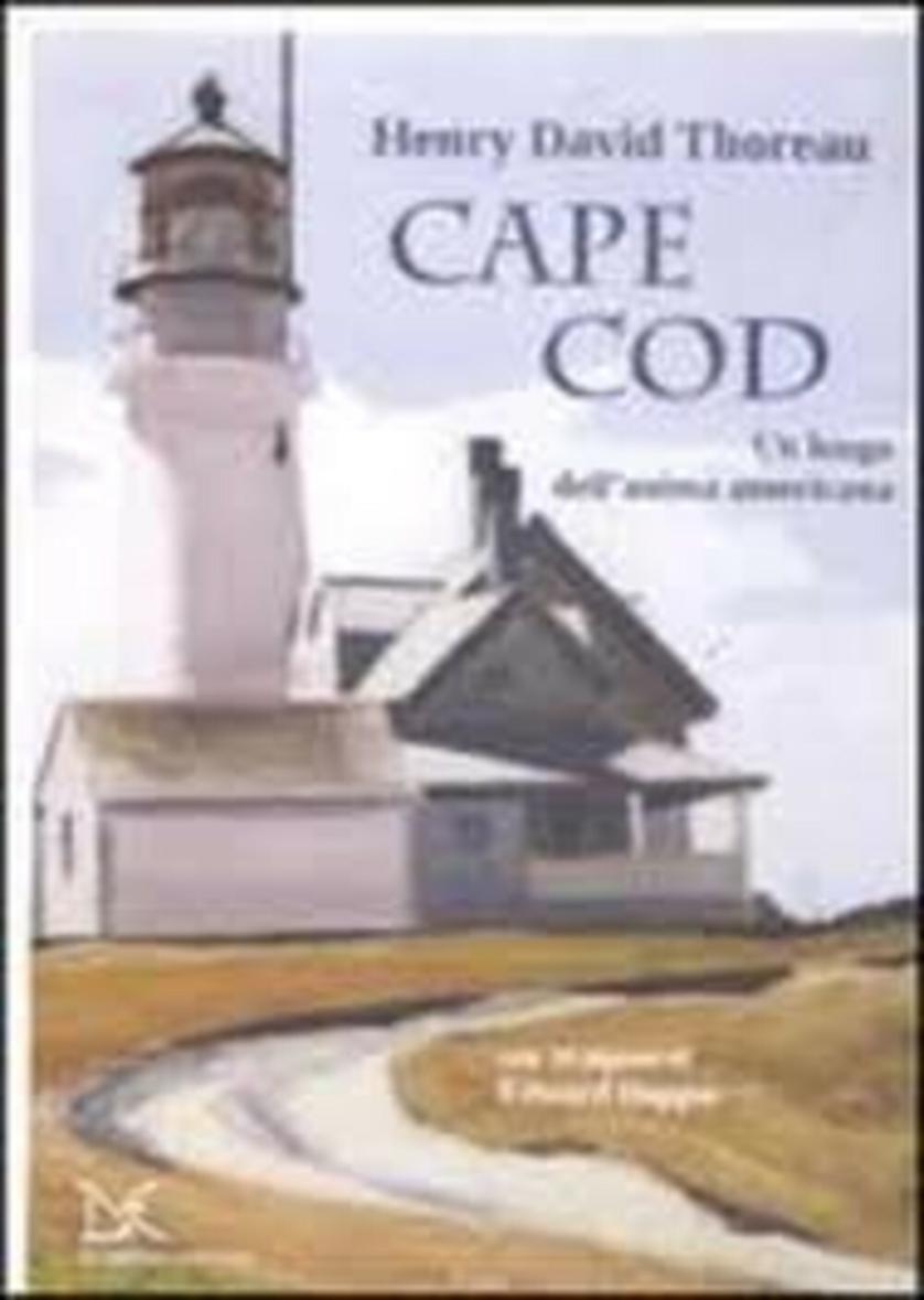 cape cod.jpg