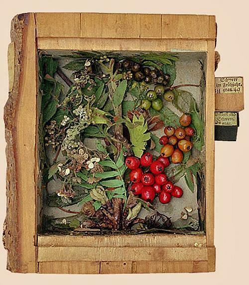 Carl Schilbach