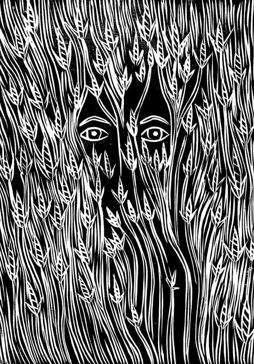 Illustrazione di Matt Ferguson.