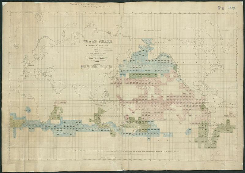 La Mappa delle Balene di Matthew Fontaine Maury (U.S. Navy, National Observatory, 1851).