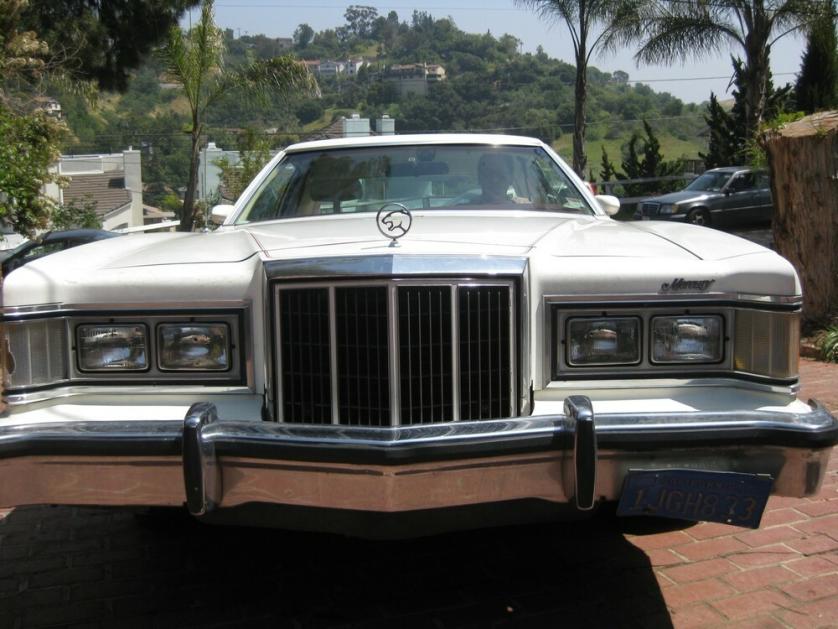 coguar mercury stefano.jpg