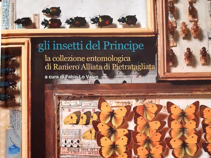 copertina-gli-insetti-del-principe-1-e1611831346623.jpeg