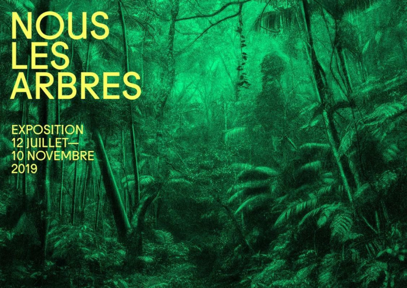 copertina_-_exposition_nous_les_arbres_fondation_cartier_paris_2019.jpg