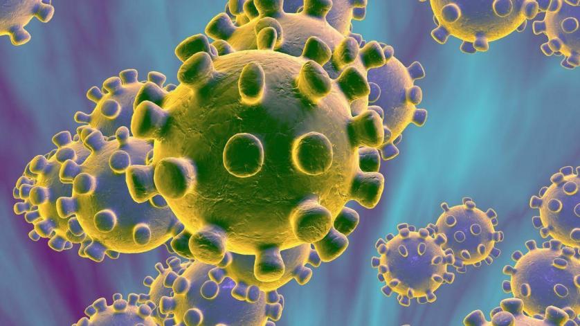 coronavirus-3.jpg