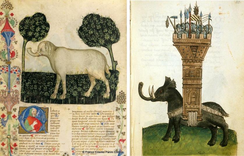 elefante-copia_1.jpg