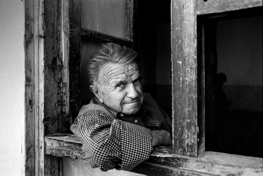 ettore_mo_pict_1.jpg