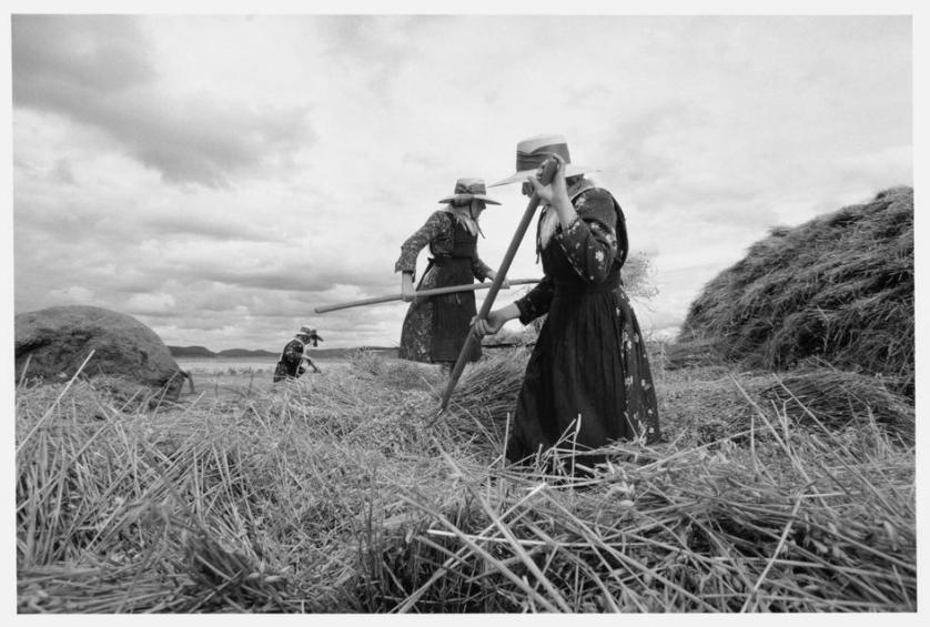 Larry Towell