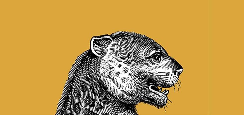 gattopardo.jpg