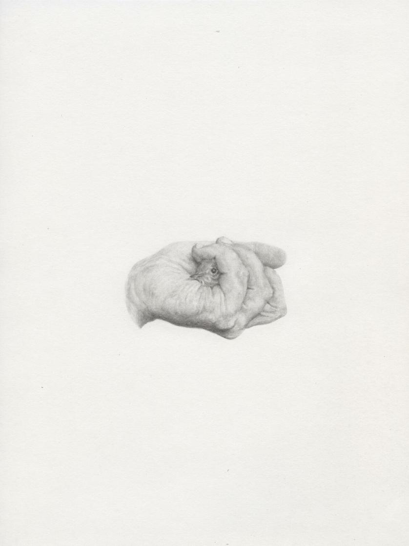 Giovanni De Lazzari, Senza titolo (2013), Pencil on paper, courtesy Laveronica arte contemporanea.