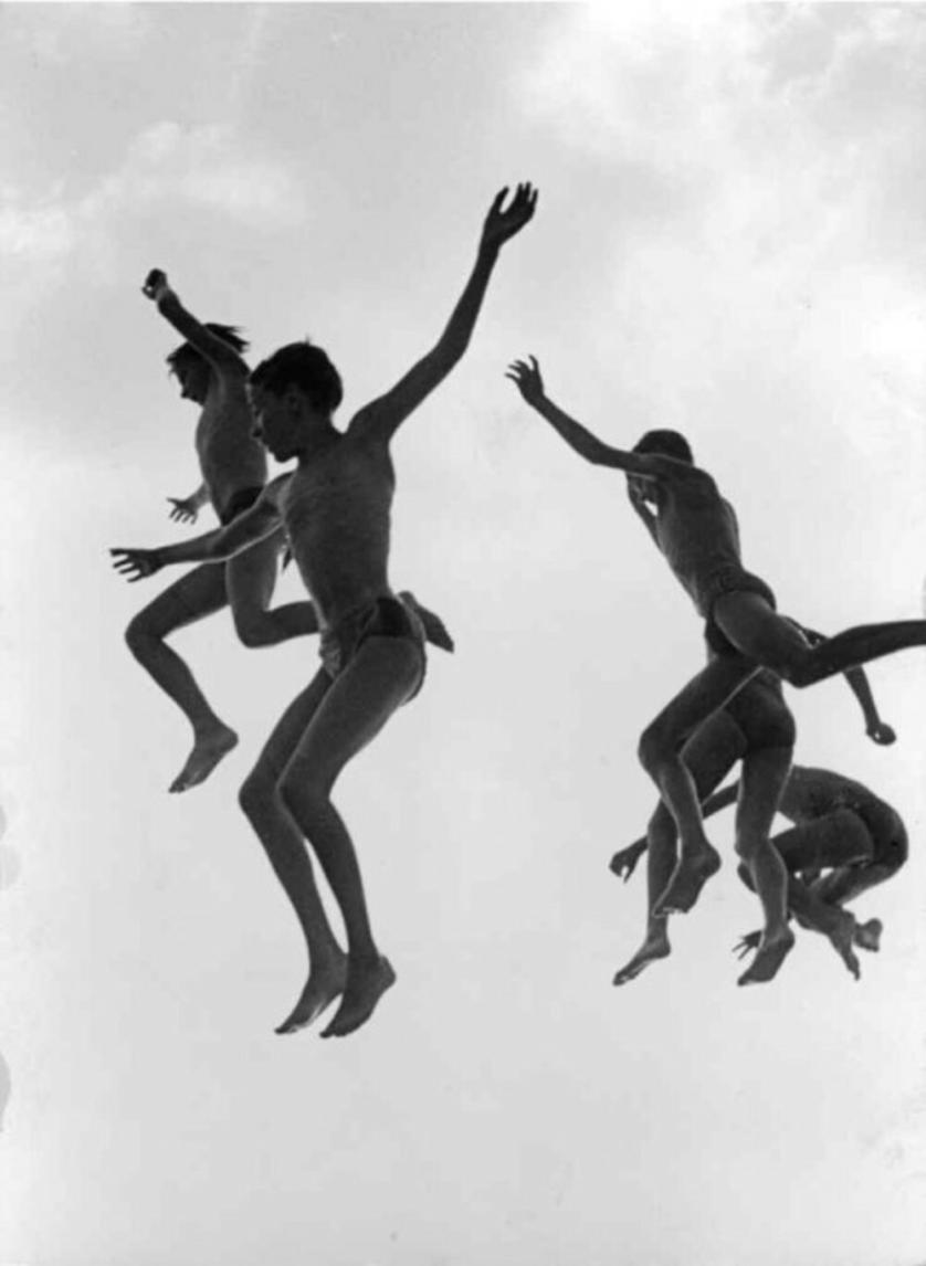 gotthard-schuh-jumping-into-the-water-129504-530-725.jpg