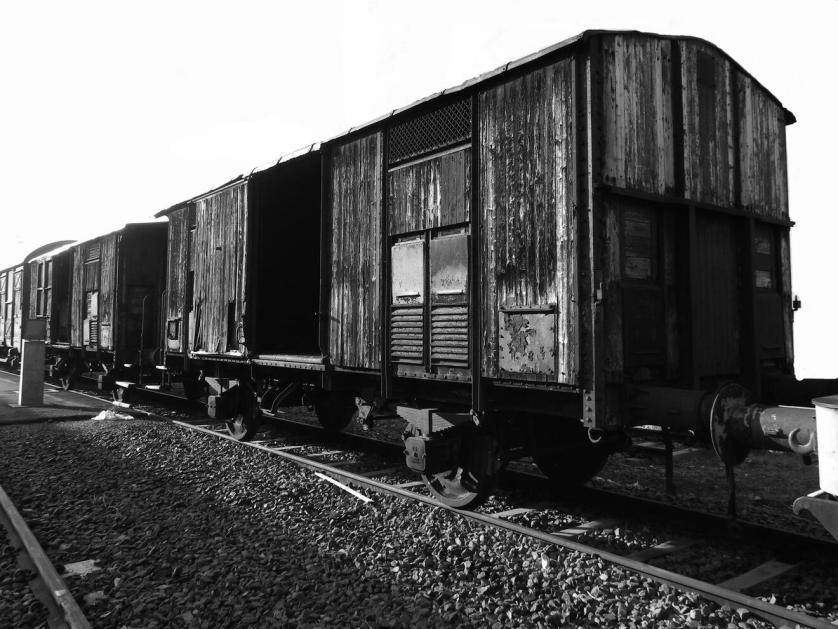 i-carri-delle-deportazioni-della-stazione-di-trento.jpg