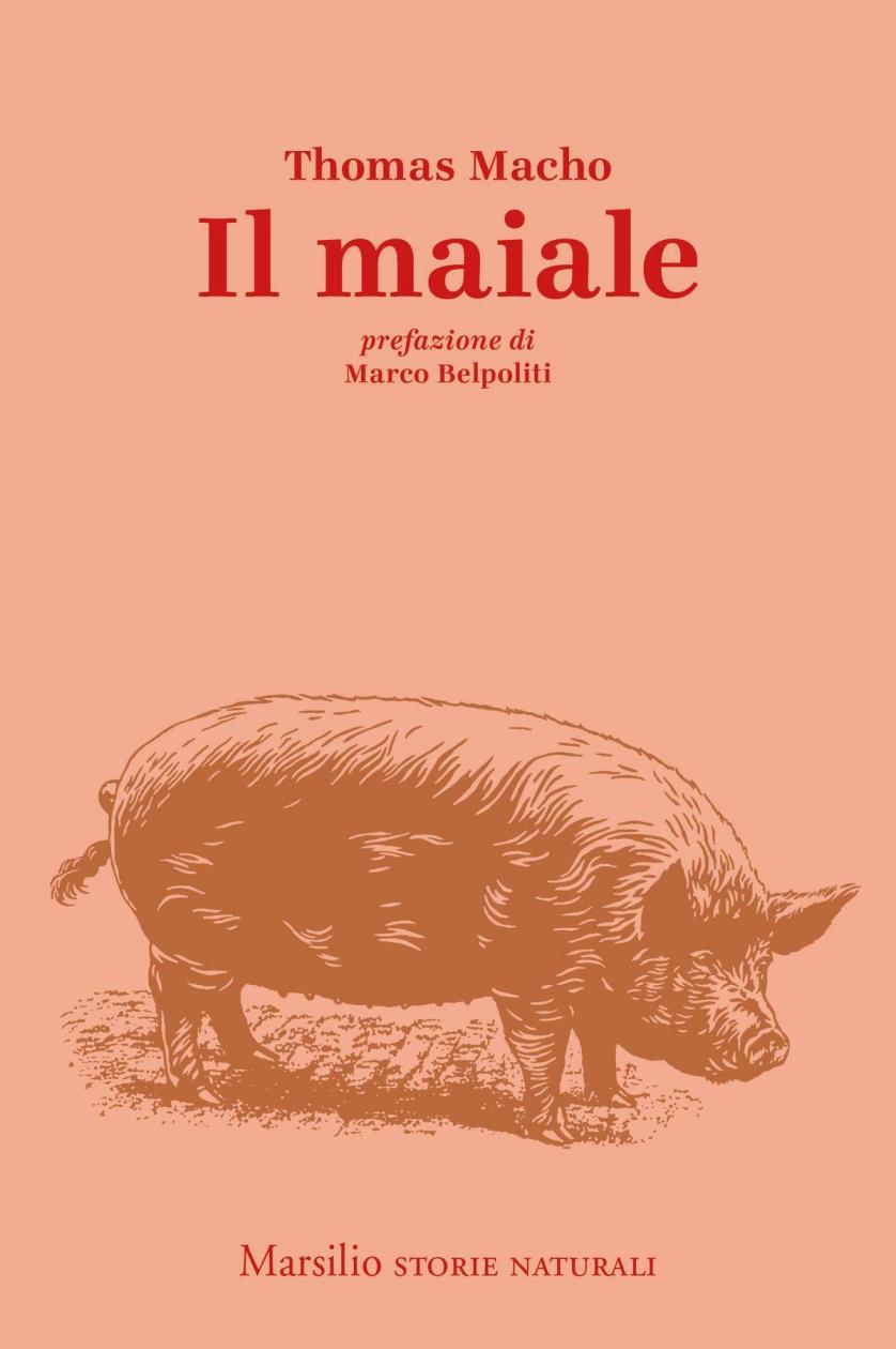 il-maiale-1.jpg