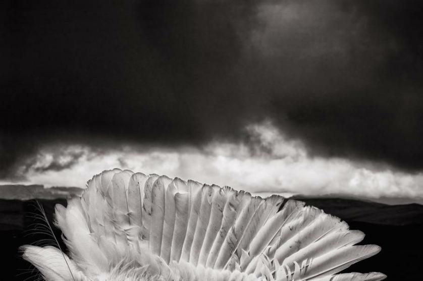 © Giorgio Negro, “Pathos”, Festival della Fotografia Etica, Lodi 2020.