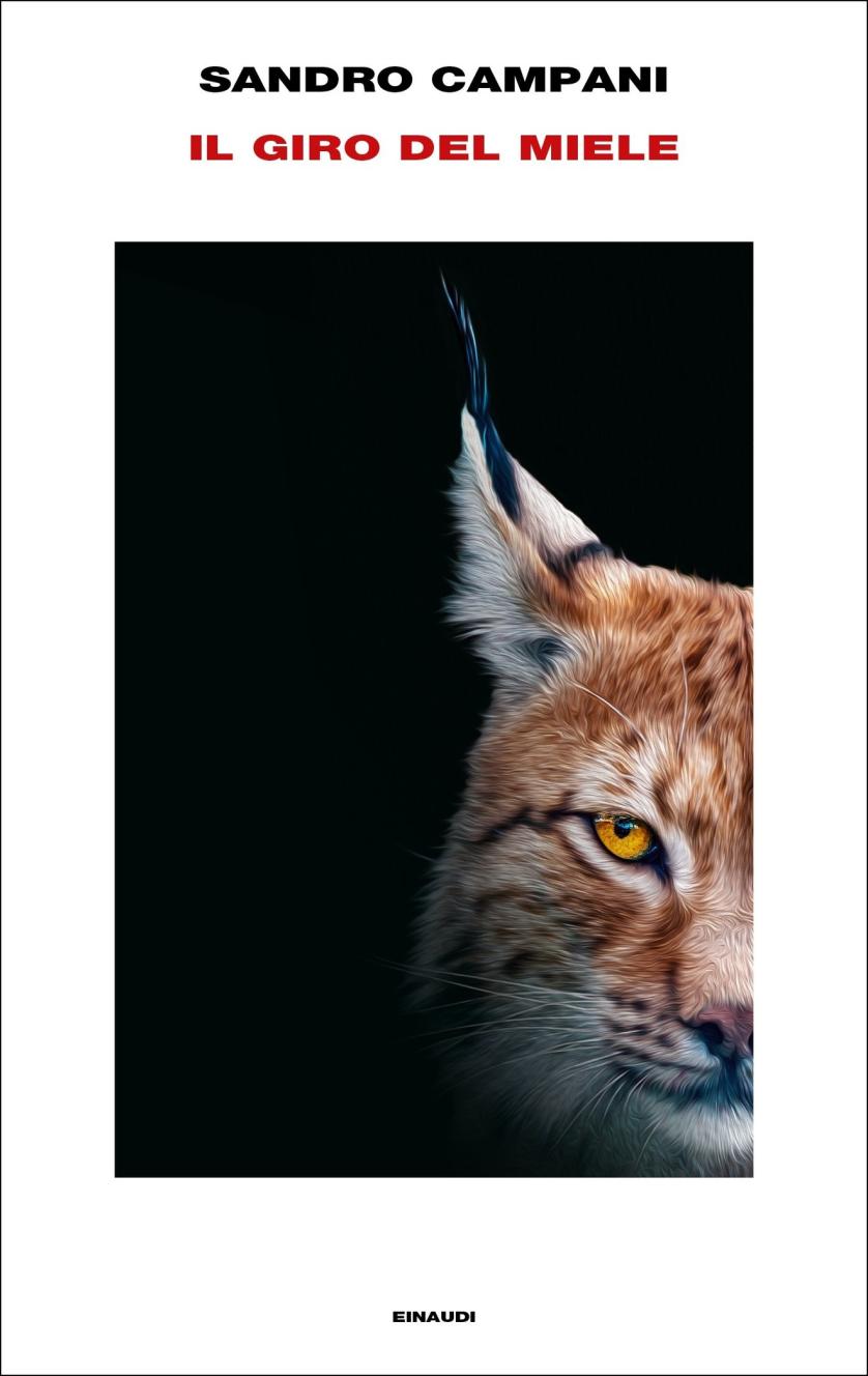 image_book.jpeg