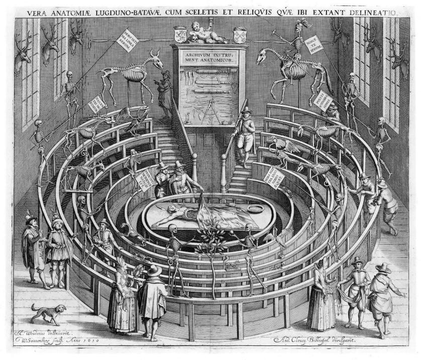 Anatomical Theatre Leiden.