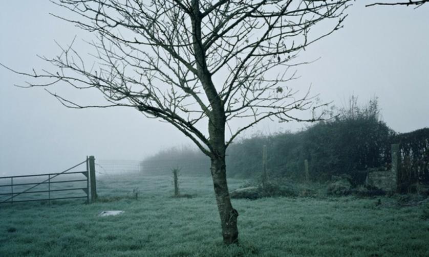 immagine_2_2_0.jpg