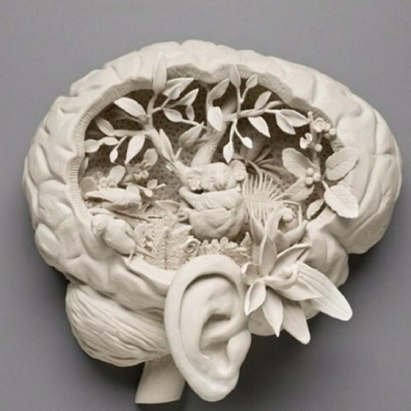 Kate MacDowell