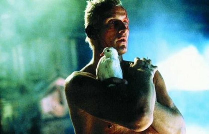 large_rutger_800_800.jpg