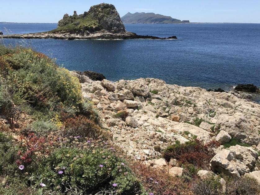 levanzo_3.jpg