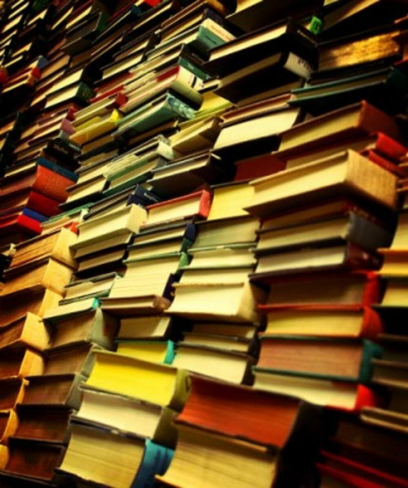 libri-economici1-334x400-custom.jpg
