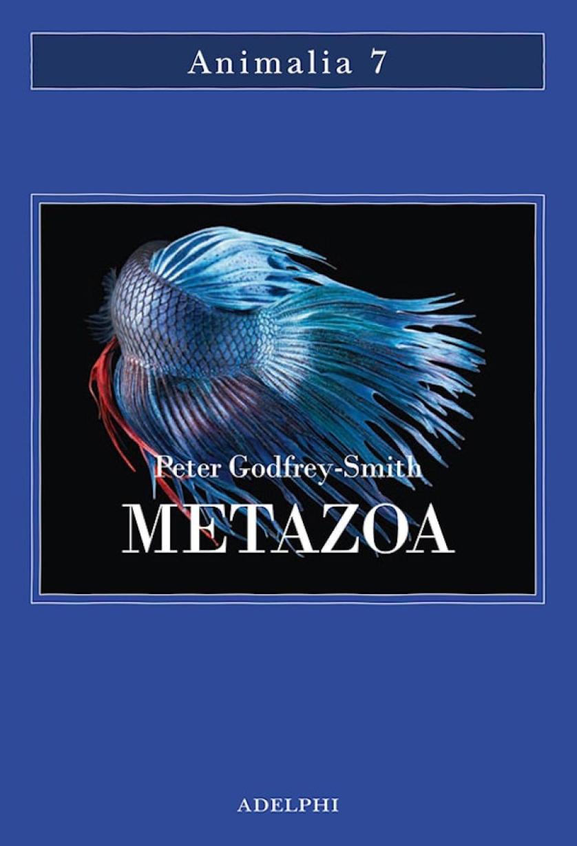 metazoa-godfrey-smith-adelphi-1200x1760.jpeg