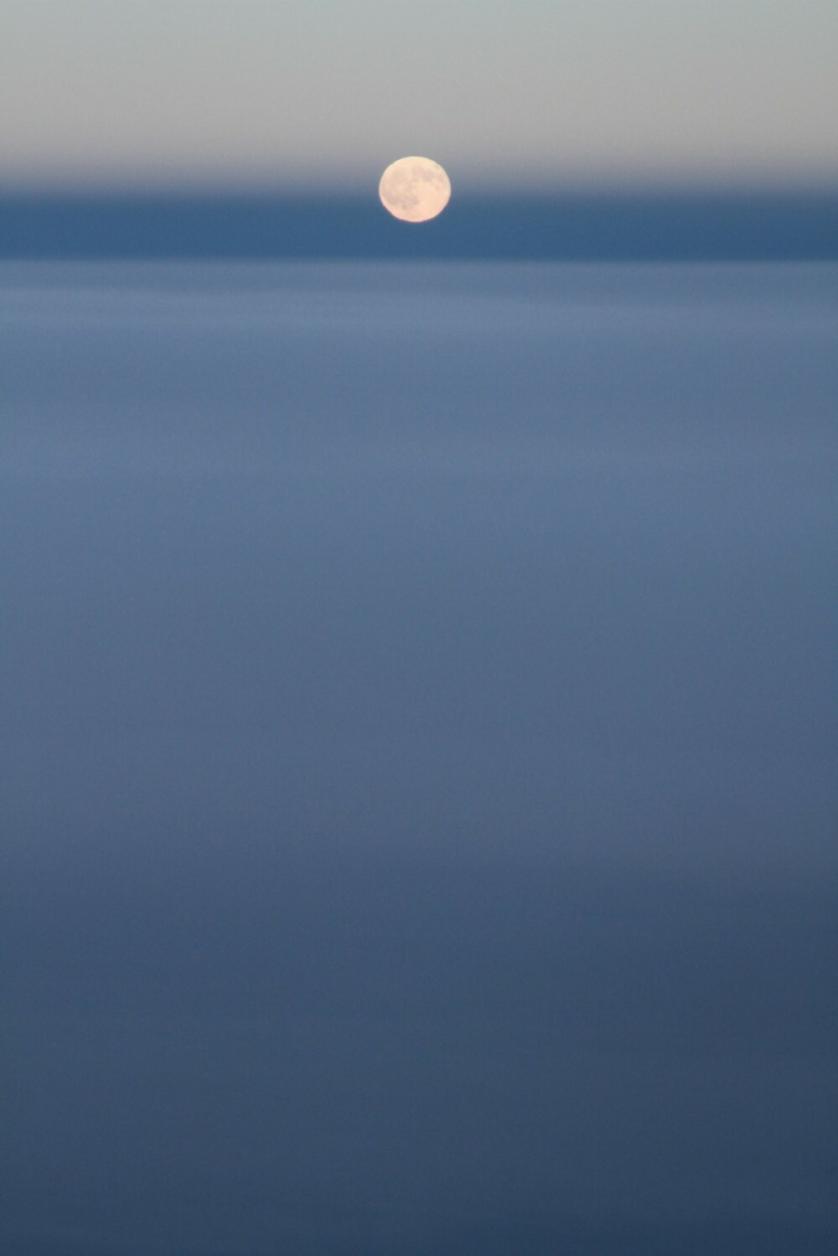 moon.jpeg