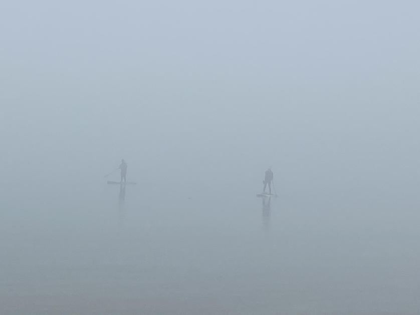 nebbia.jpg