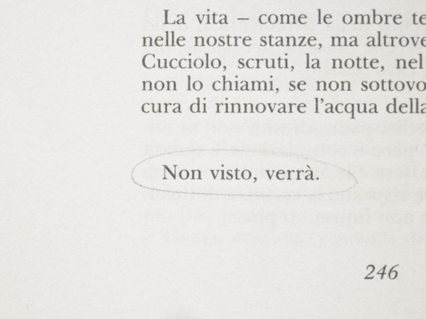 ortese07.jpg