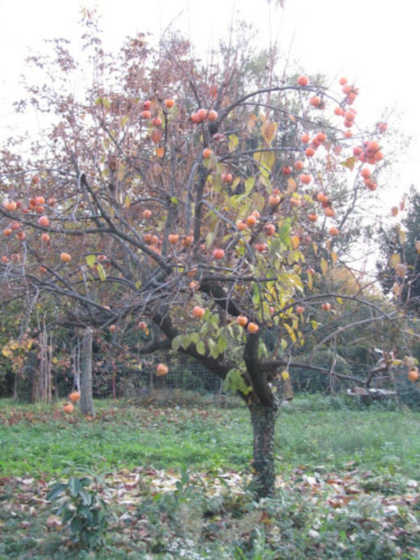ott.-nov. 2012 162.jpg