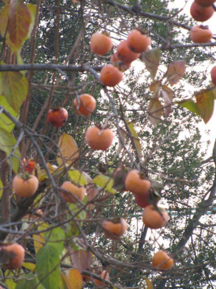 ott.-nov. 2012 165.jpg