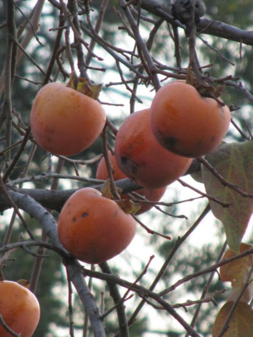 ott.-nov. 2012 167.jpg