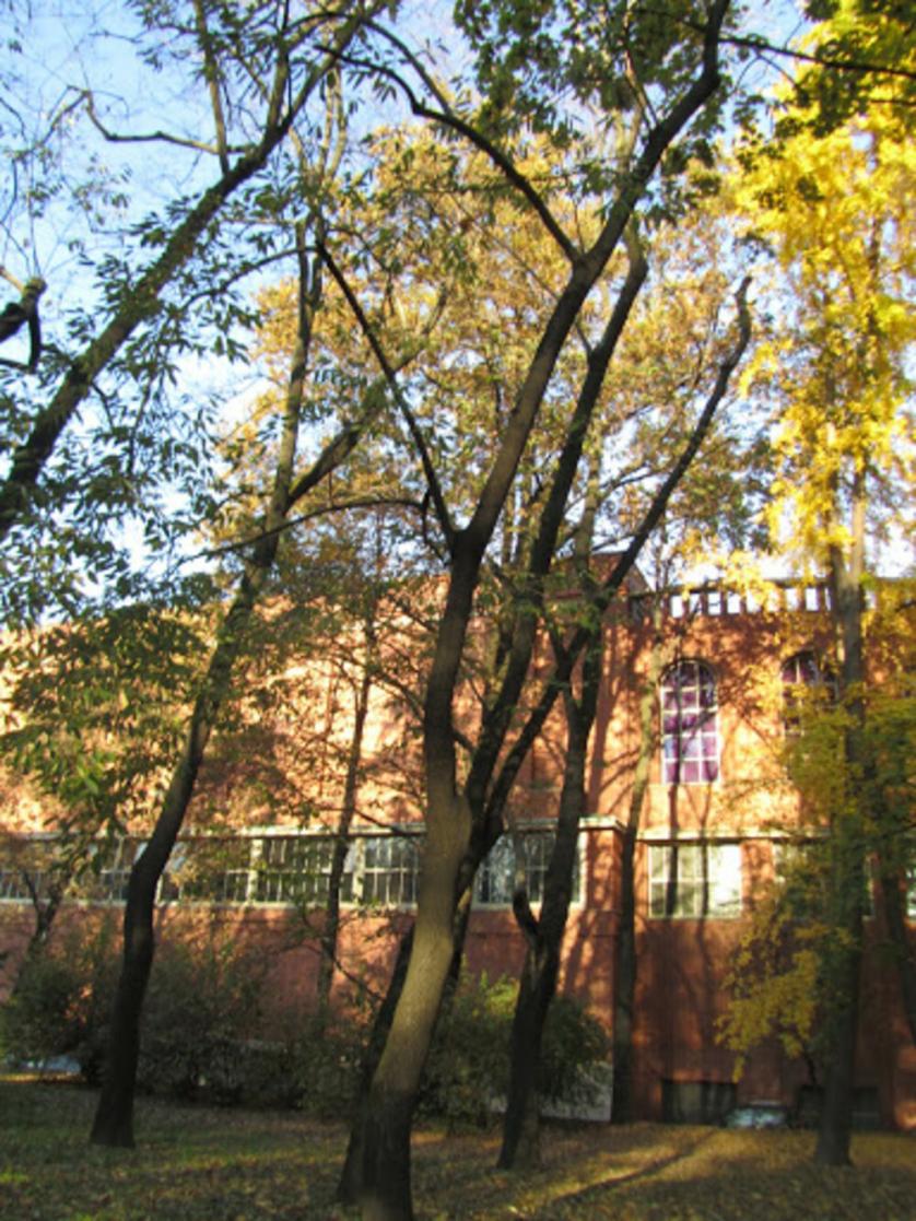 ott.-nov. 2012 231.jpg
