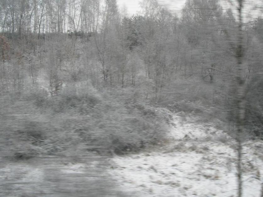 polonia_dal_treno.jpg