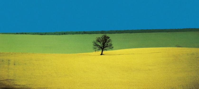 Ph Franco Fontana.