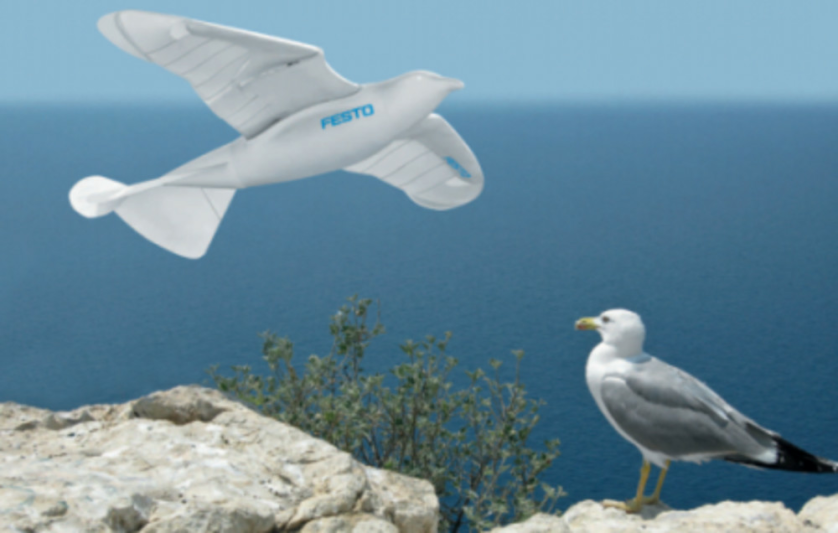 smartbird-il-robot-che-prende-il-volo-1.png