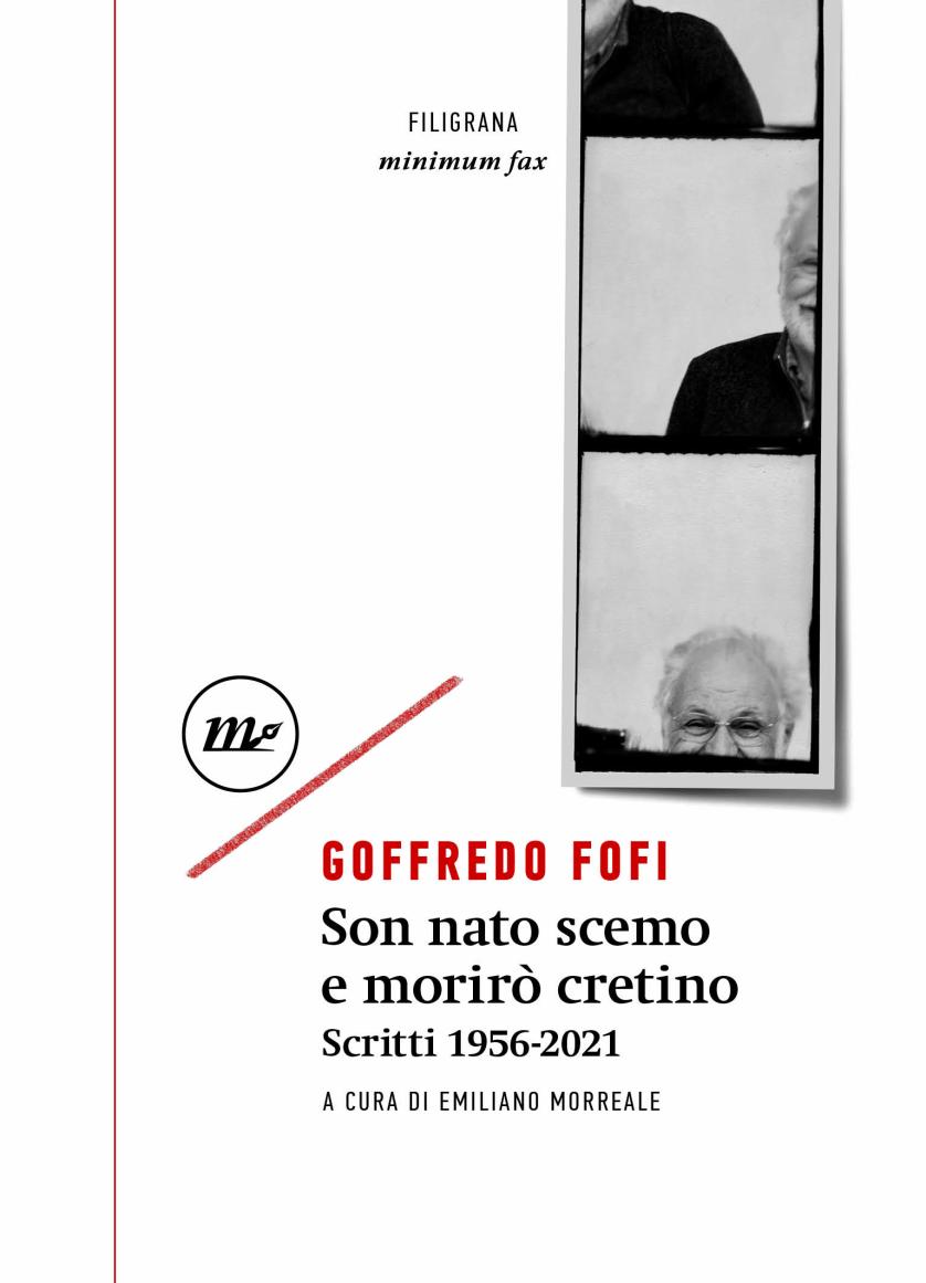son-nato-scemo-e-moriro-cretino-2478.jpeg