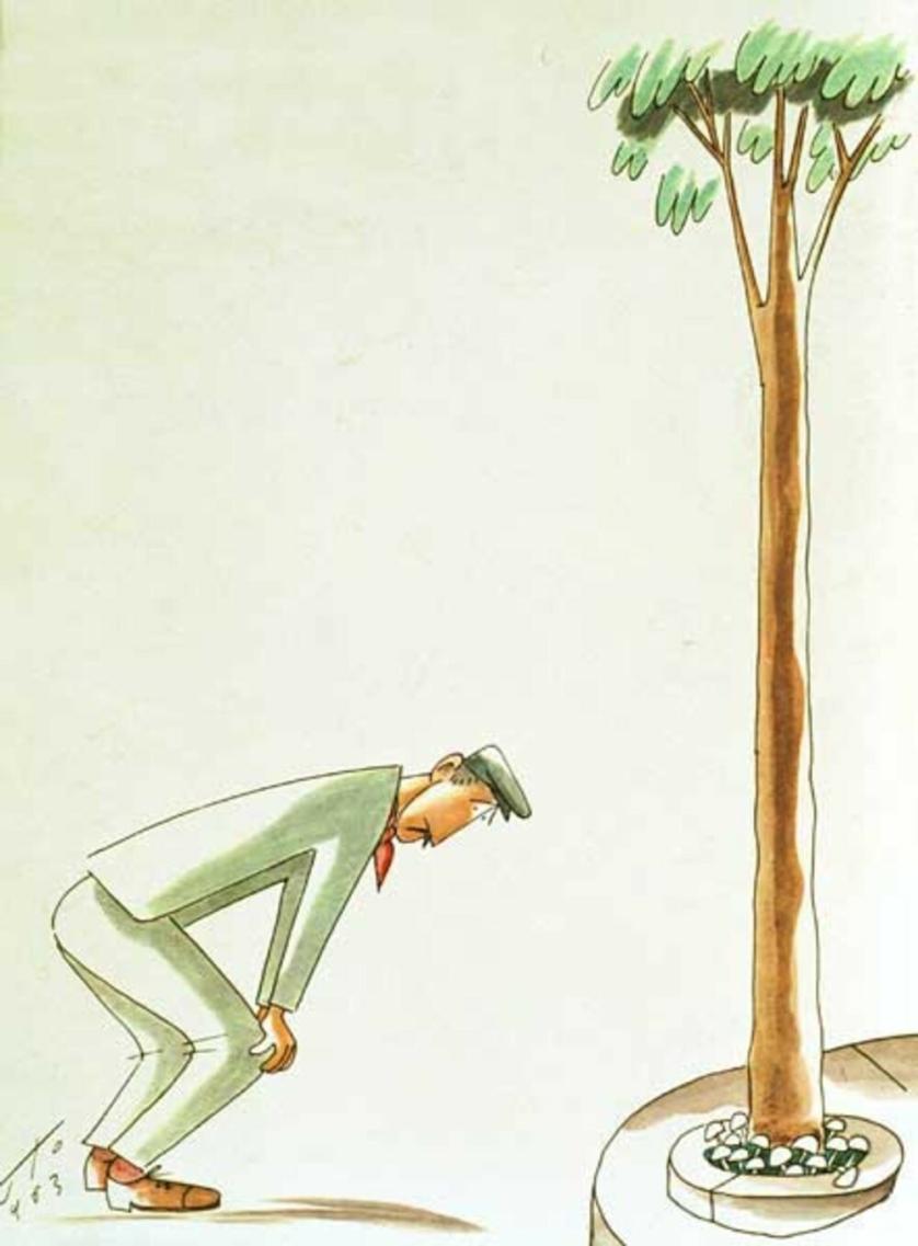 speciale_calvino_bellardi_-_calvino.jpg