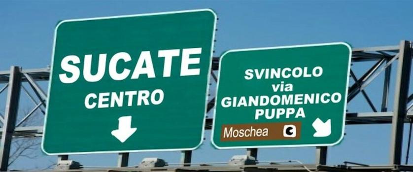 sucate.jpg
