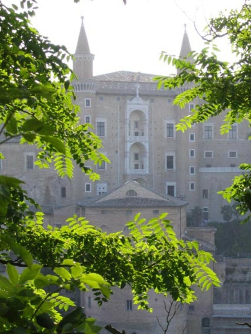 urbino_uni.jpg