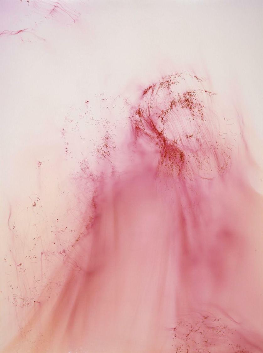 Wolfgang Tillmans,