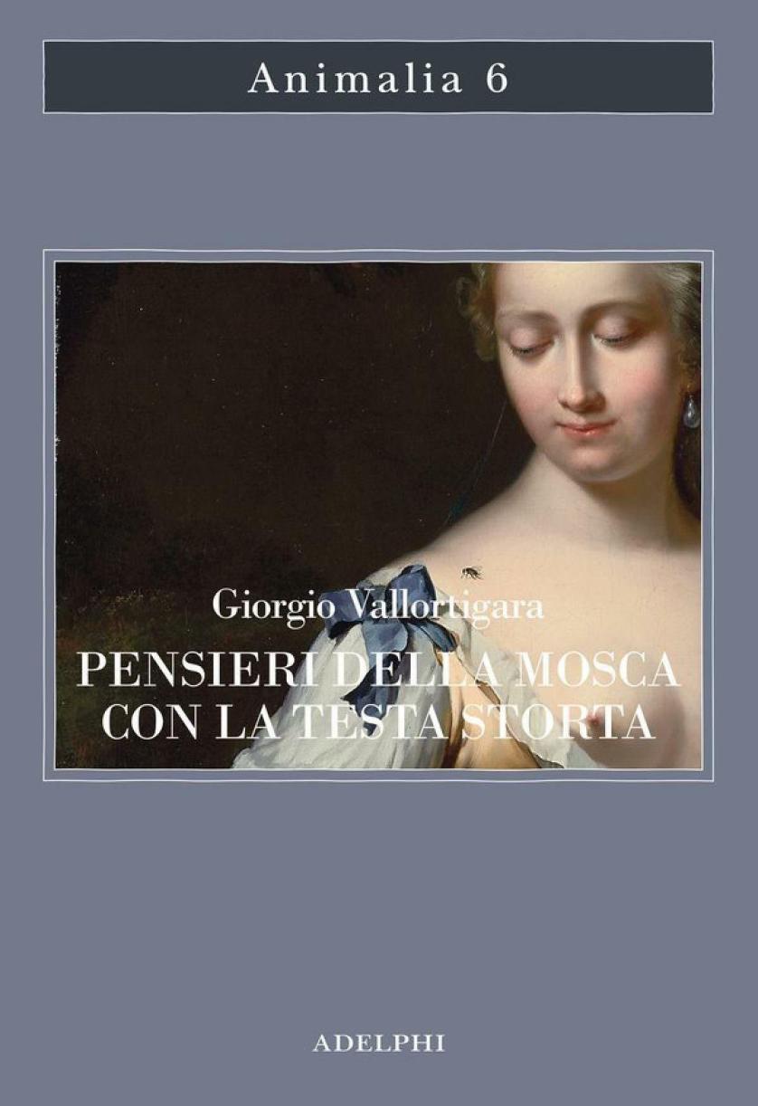 vallortigara-pensieri-mosca-adelphi.jpeg