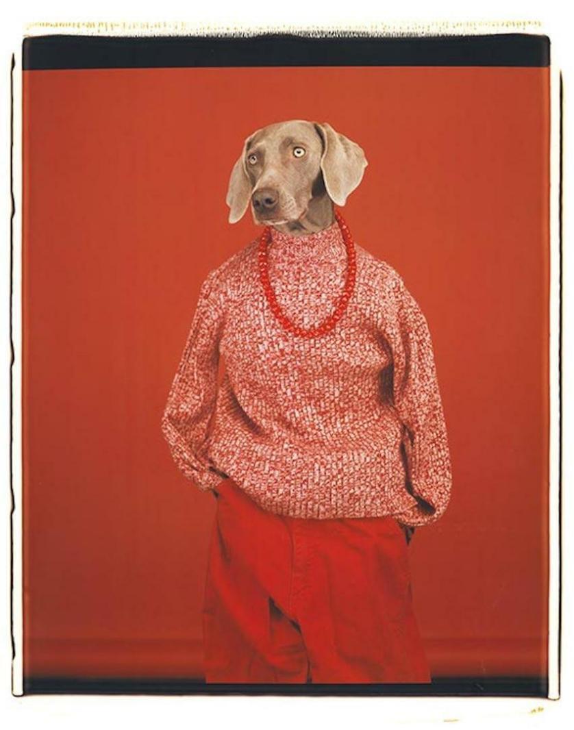 William Wegman, Casual, 2002.