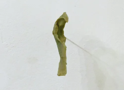 Silvia Ileana Listorti - Prima che sia notte