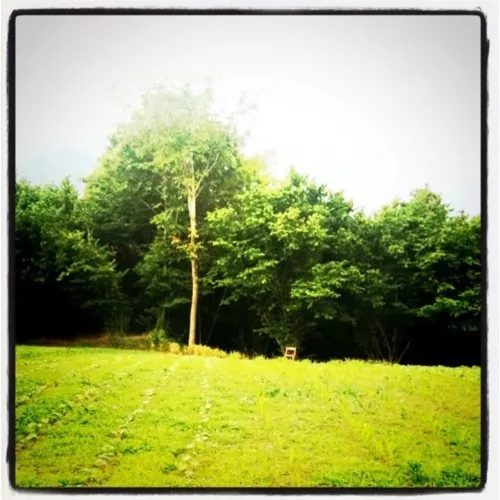 lonely sedia sotto un albero di ciliegie. aspettando la pioggia @ life can be sweet.