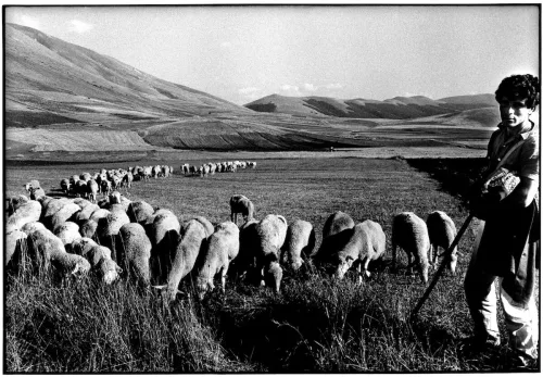 Piani di pascolo 1988, ph Salvatore Piermarini.