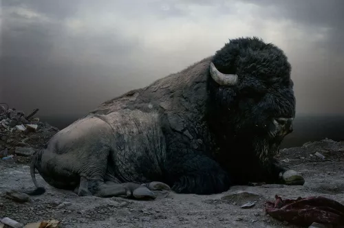 Ph Simen Johan.